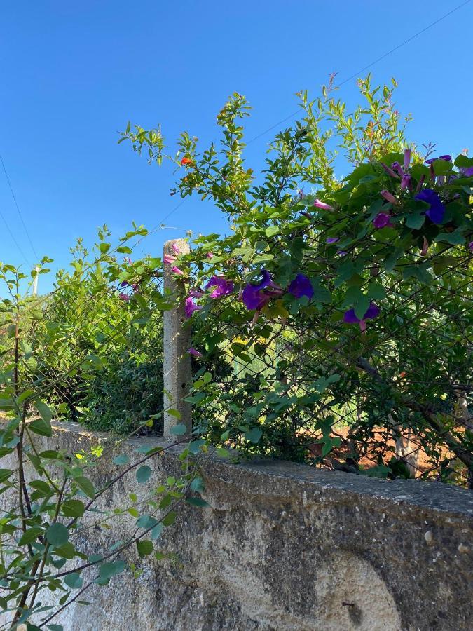 Villa L'Orizzonte Di Calabianca Castellammare del Golfo Exteriér fotografie