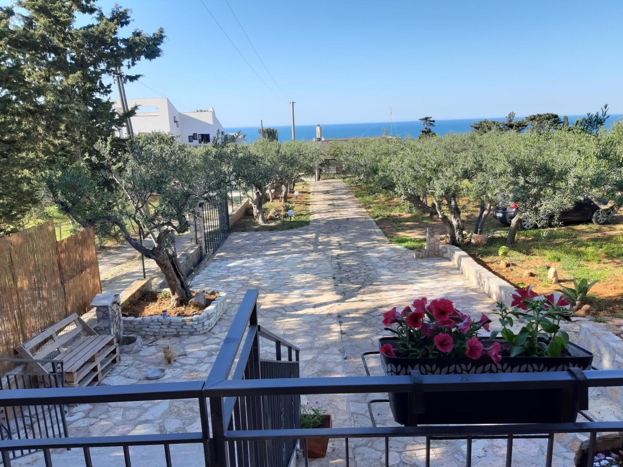Villa L'Orizzonte Di Calabianca Castellammare del Golfo Exteriér fotografie