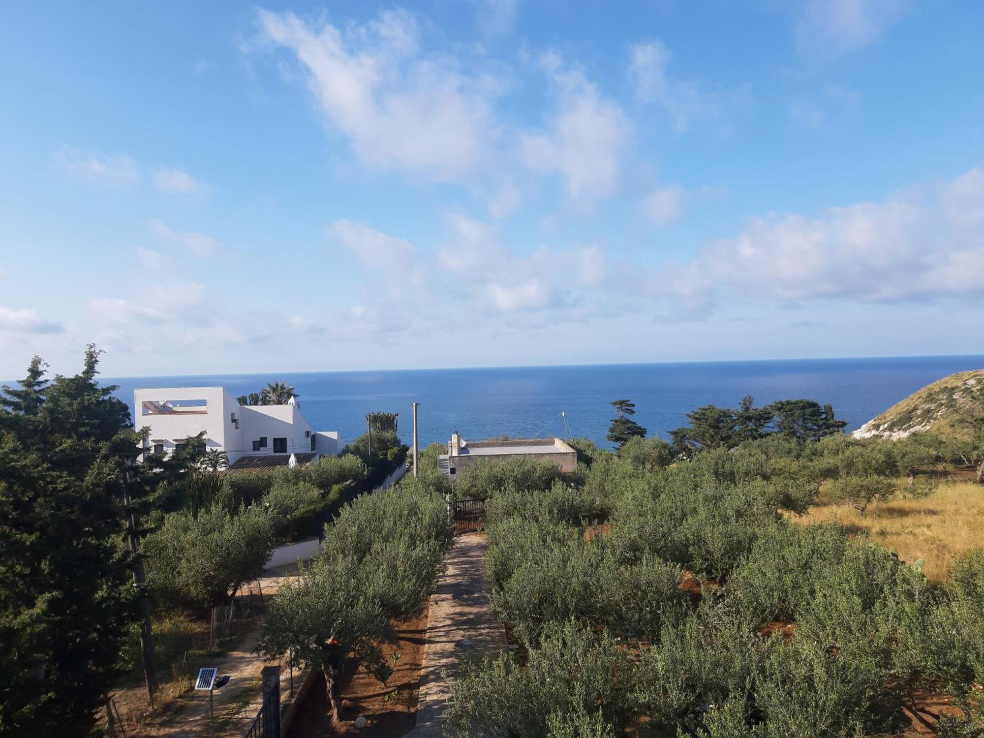 Villa L'Orizzonte Di Calabianca Castellammare del Golfo Exteriér fotografie