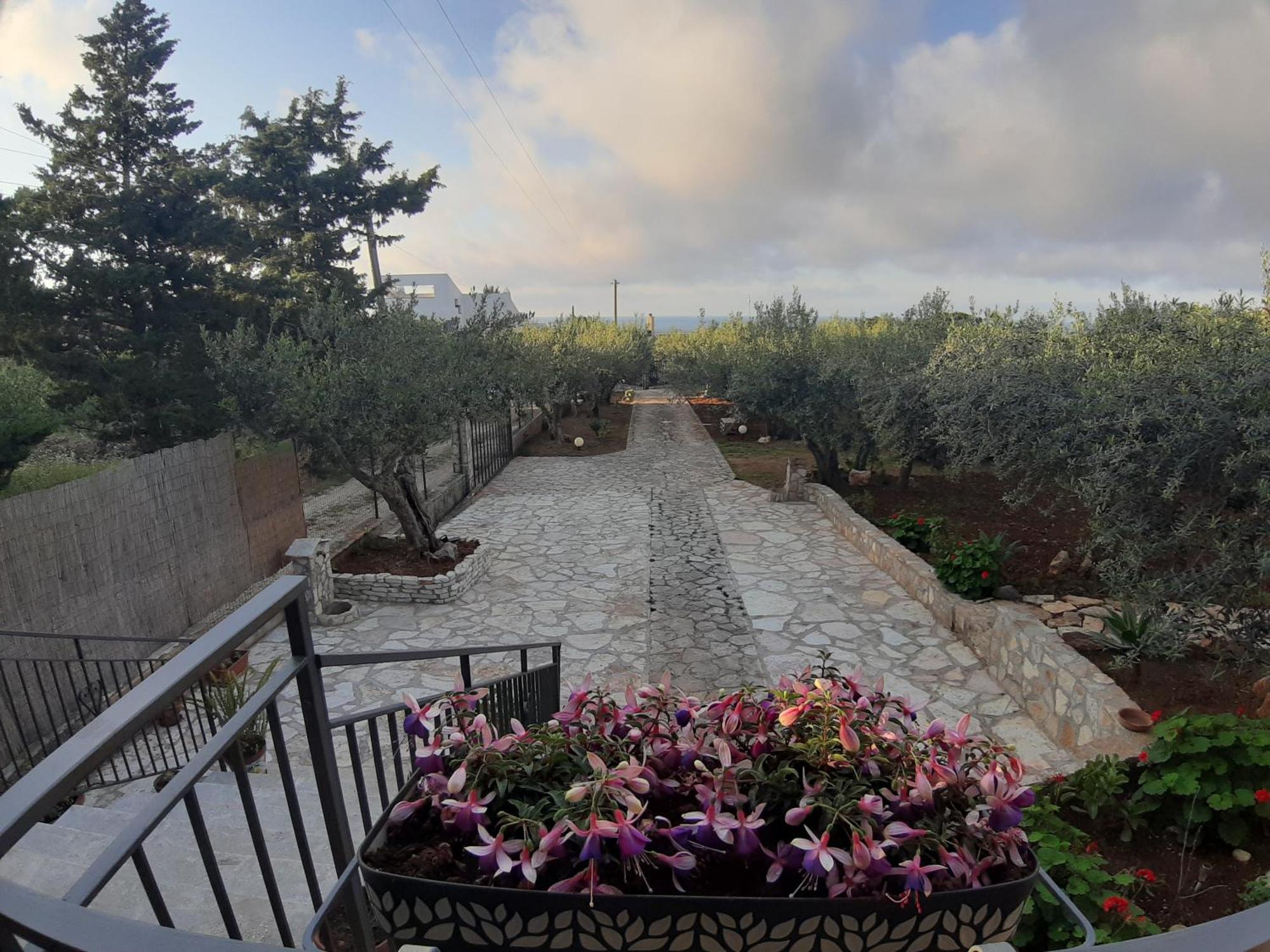 Villa L'Orizzonte Di Calabianca Castellammare del Golfo Exteriér fotografie