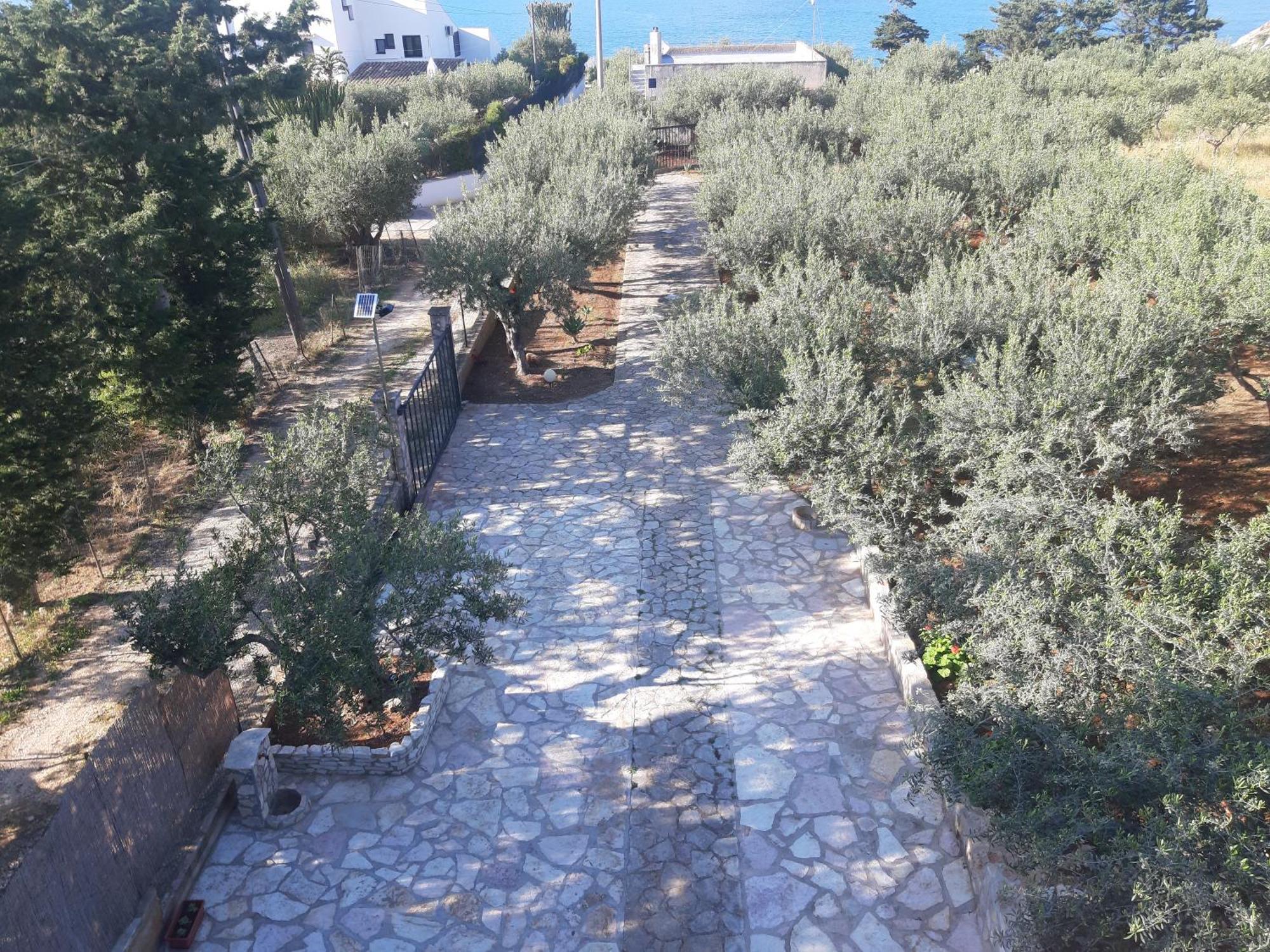 Villa L'Orizzonte Di Calabianca Castellammare del Golfo Exteriér fotografie
